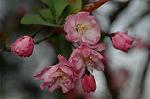 Dcim5891/DSC_3428