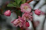 Dcim5891/DSC_3429