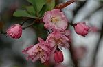 Dcim5891/DSC_3430