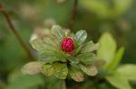 Dcim5891/DSC_3433