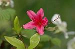 Dcim5891/DSC_3435