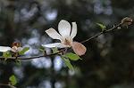 Dcim5891/DSC_3464