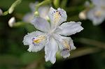 Dcim5891/DSC_3465