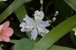 Dcim5891/DSC_3467