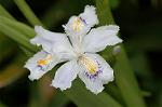 Dcim5891/DSC_3468