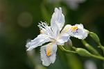 Dcim5891/DSC_3472