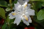 Dcim5891/DSC_3473