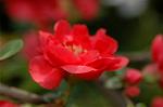 Dcim5891/DSC_3475