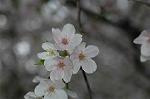 Dcim5891/DSC_3476