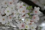 Dcim5891/DSC_3479
