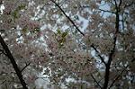 Dcim5891/DSC_3487