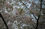Dcim5891/DSC_3488