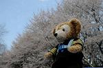 Dcim5892/DSC_8692