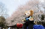 Dcim5892/DSC_8693
