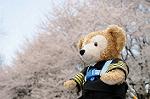 Dcim5892/DSC_8694