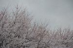 Dcim5892/DSC_8702