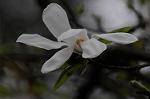 Dcim5892/DSC_8717