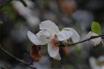 Dcim5892/DSC_8720