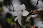 Dcim5892/DSC_8722