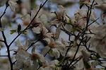 Dcim5892/DSC_8751