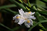 Dcim5892/DSC_8767