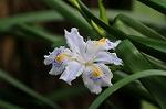Dcim5892/DSC_8768