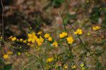 Dcim5892/DSC_8771