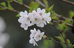 Dcim5894/DSC_8977