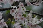Dcim5894/DSC_8985