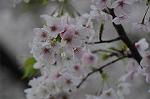 Dcim5894/DSC_9002