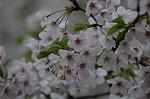 Dcim5894/DSC_9005