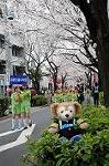 Dcim5896/DSC_9094