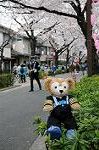 Dcim5897/DSC_9142