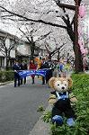 Dcim5897/DSC_9172
