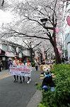 Dcim5897/DSC_9206