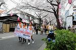 Dcim5897/DSC_9207