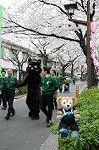 Dcim5897/DSC_9227