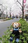 Dcim5897/DSC_9235