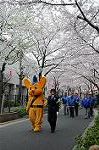 Dcim5897/DSC_9254