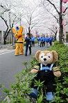 Dcim5897/DSC_9255