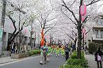 Dcim5897/DSC_9257