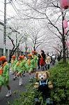 Dcim5898/DSC_9263