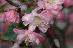 Dcim5899/DSC_3529