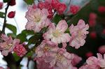 Dcim5899/DSC_3540