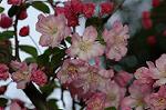 Dcim5899/DSC_3543