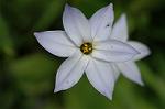 Dcim5899/DSC_3556