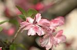 Dcim5899/DSC_3559