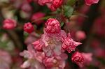 Dcim5899/DSC_3576