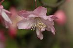 Dcim5899/DSC_3579