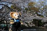 Dcim5900/DSC_9516